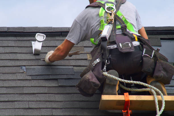 Best Roof Gutter Cleaning  in Samson, AL