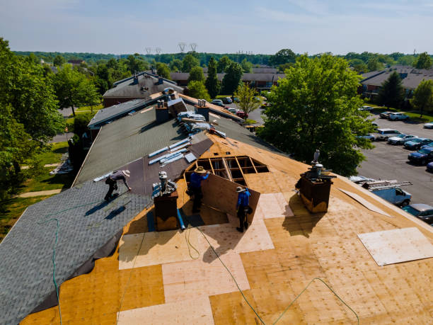 Quick and Trustworthy Emergency Roof Repair Services in Samson, AL