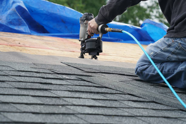 Best Storm Damage Roof Repair  in Samson, AL