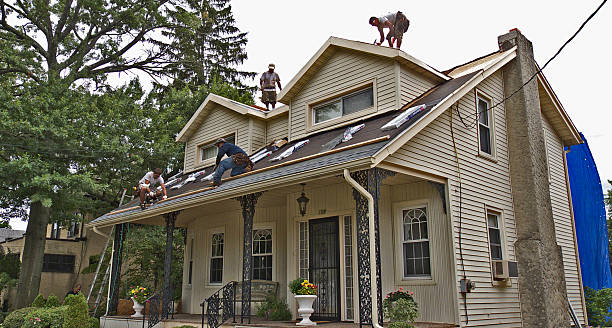 Best Gutter Installation and Roofing  in Samson, AL